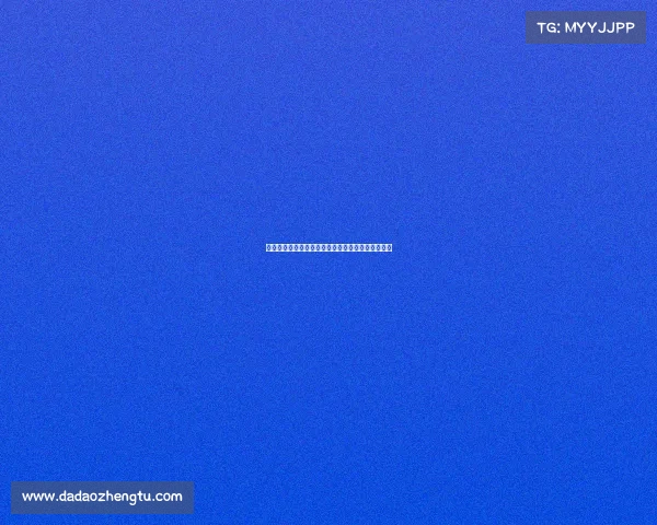 激情海南全运会赛事盛大举行汇聚体育精英共创辉煌